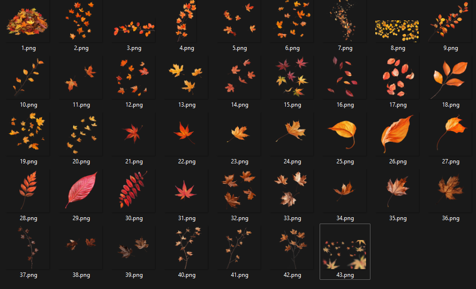 Autumn Leaf Overlays - For Photoshop & More