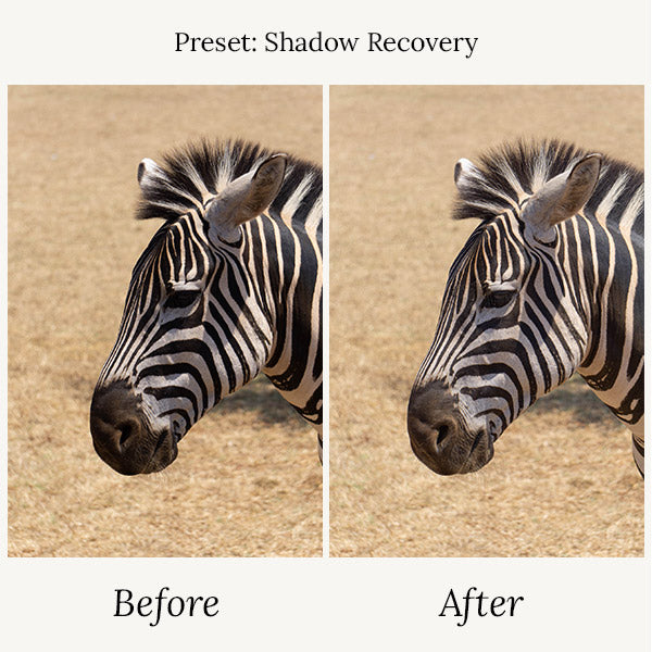 Wildlife Presets & Brushes - For Lightroom