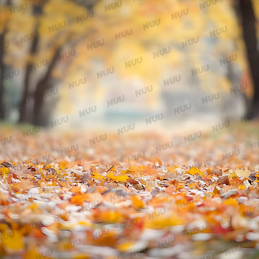 Fall Leaves - Digital Backdrop