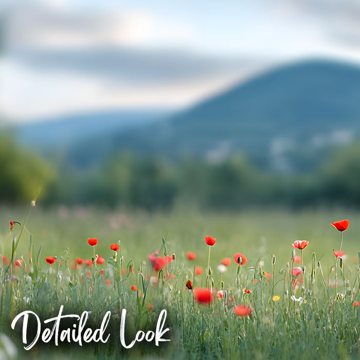 Summer Wildflower Meadow – Digital Backdrop