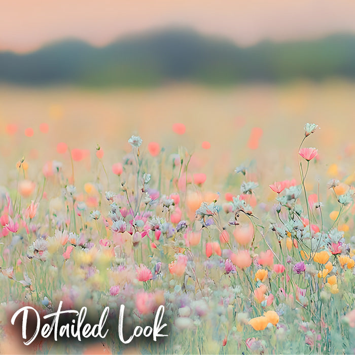 Summer Meadow - Digital Backdrop