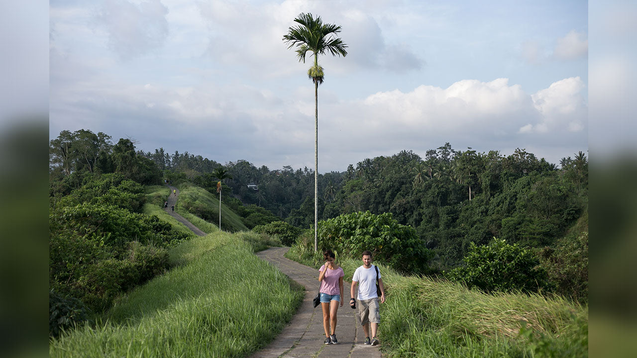 Landscape Presets - For Lightroom