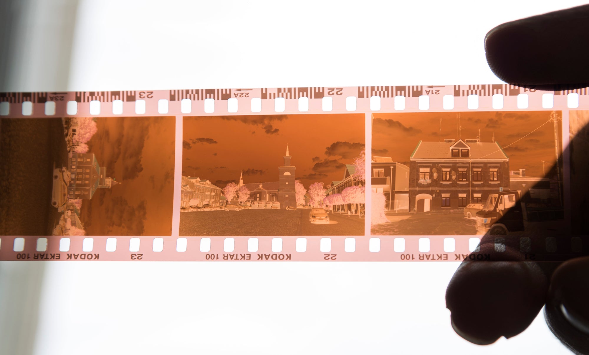 Orange color negative film strip held against daylight