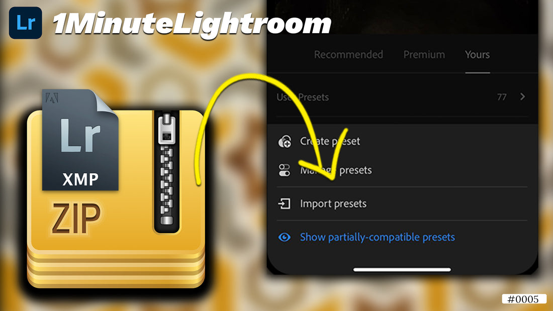 How to Import Presets into Lightroom Mobile