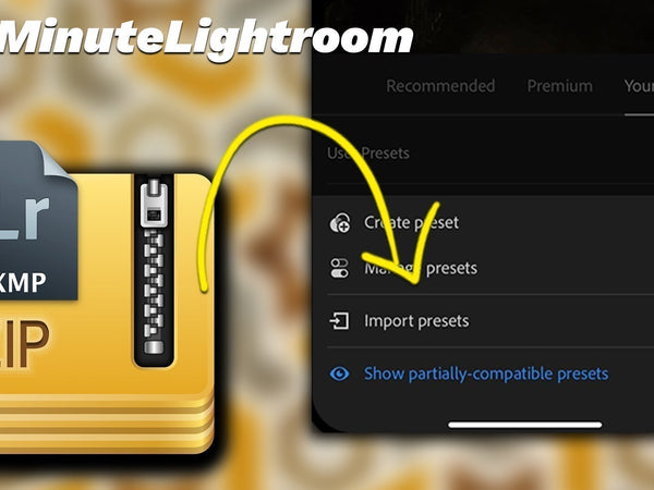 How to Import Presets into Lightroom Mobile