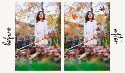 Autumn Leaf Overlays - For Photoshop & More