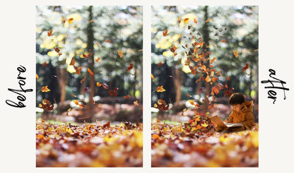 Autumn Leaf Overlays - For Photoshop & More