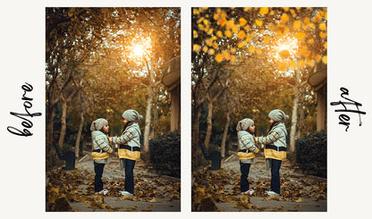 Autumn Leaf Overlays - For Photoshop & More