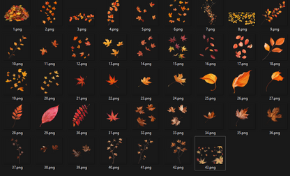 Autumn Leaf Overlays - For Photoshop & More