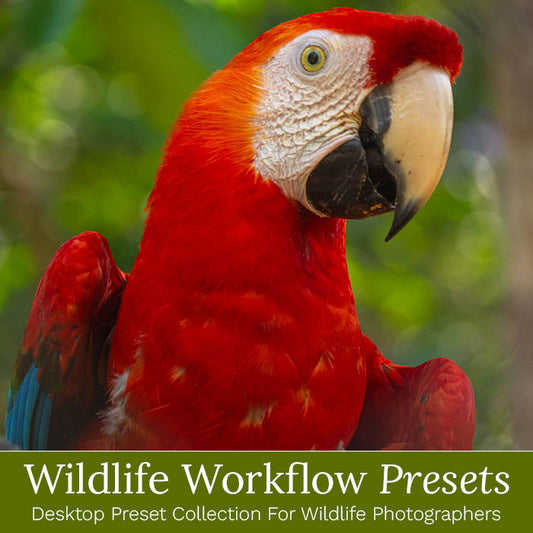 Wildlife Presets & Brushes - For Lightroom