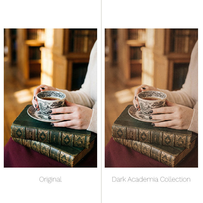 Dark Academia Presets - For Lightroom
