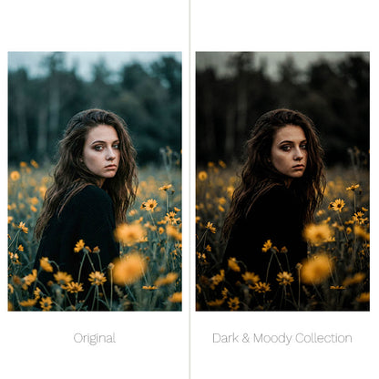 Dark & Moody Presets - For Lightroom