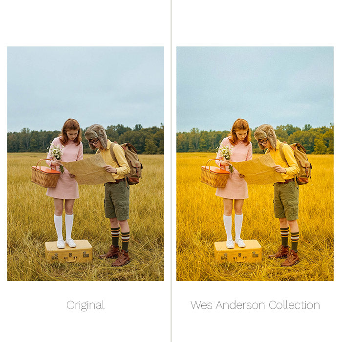 Wes Anderson Presets - For Lightroom