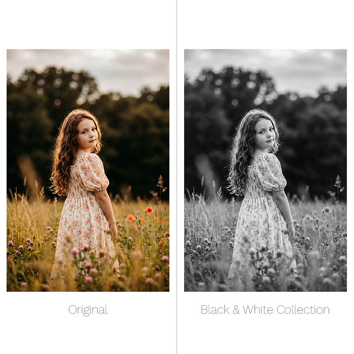 Black & White Presets - For Lightroom