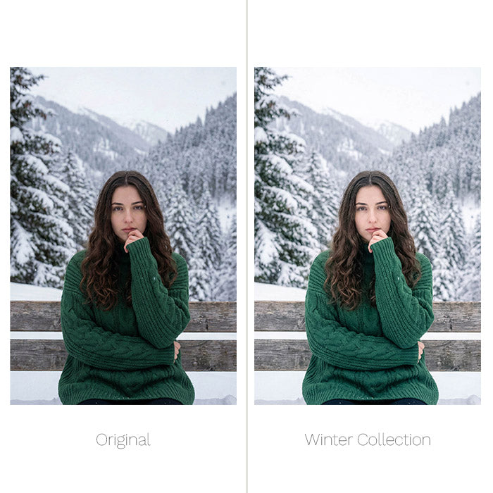 Winter Presets - For Lightroom