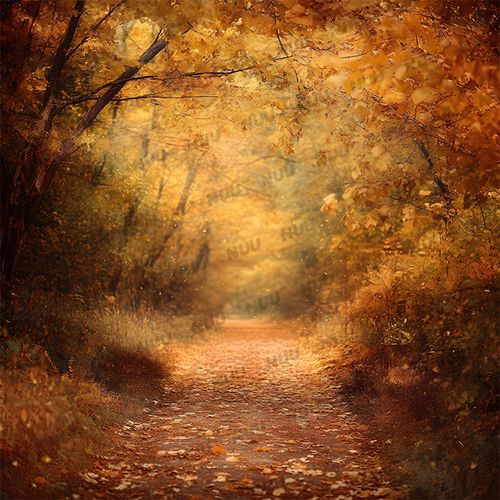 Autumn Pathway - Digital Backdrop