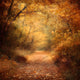 Autumn Pathway - Digital Backdrop