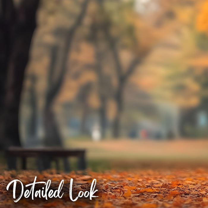Autumn Park - Digital Backdrop