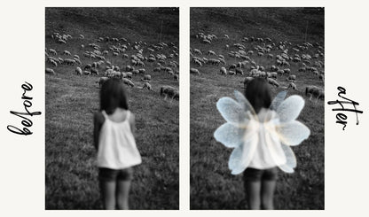 Fairy Wing Overlays - For Photoshop & More