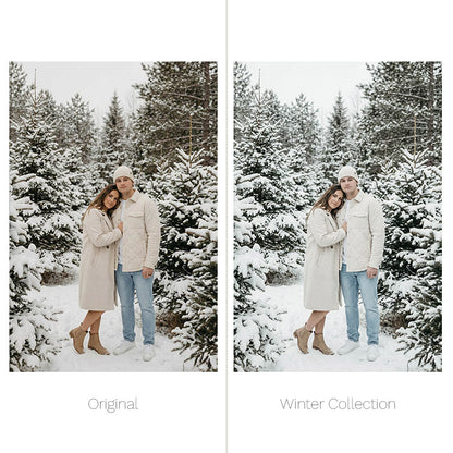 Winter Presets - For Lightroom