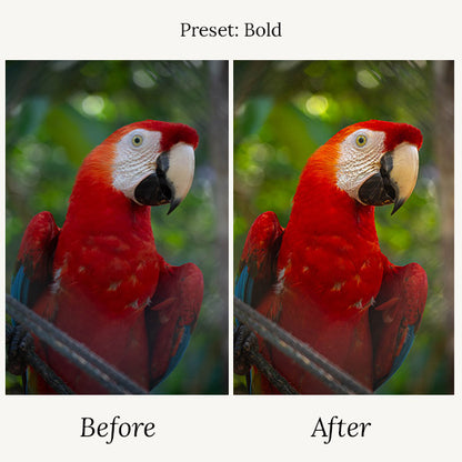 Wildlife Presets & Brushes - For Lightroom