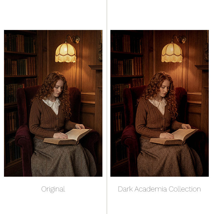 Dark Academia Presets - For Lightroom