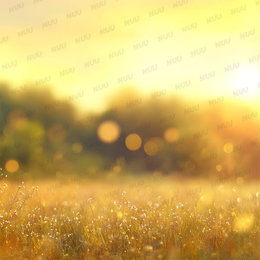Summer Bokeh - Digital Backdrop
