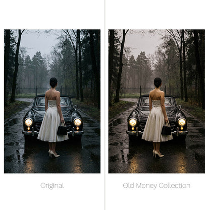 Old Money Presets - For Lightroom