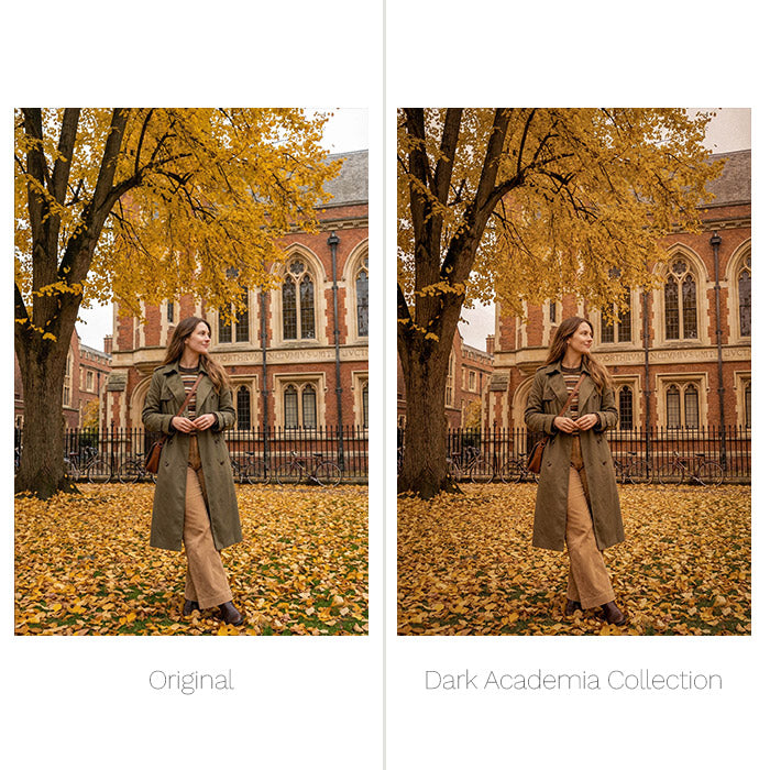 Dark Academia Presets - For Lightroom
