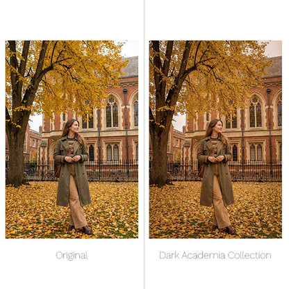 Dark Academia Presets - For Lightroom