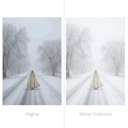 Winter Presets - For Lightroom