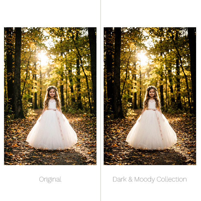 Dark & Moody Presets - For Lightroom