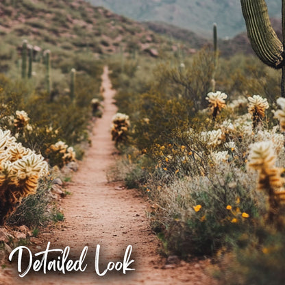 Desert Cactus Trail - Digital Backdrop