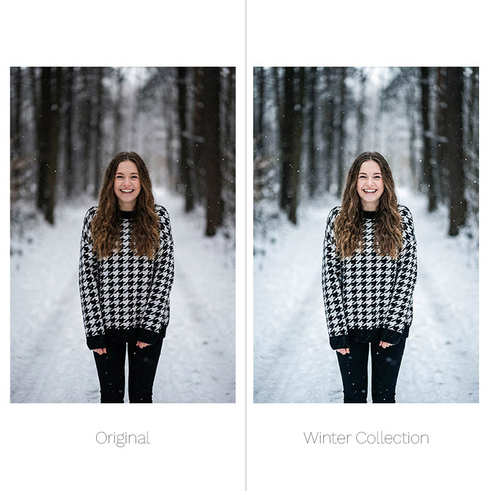 Winter Presets - For Lightroom