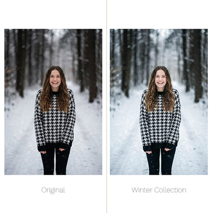 Winter Presets - For Lightroom