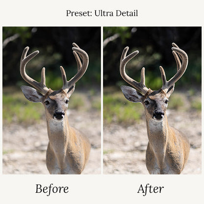 Wildlife Presets & Brushes - For Lightroom