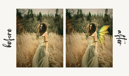 Fairy Wing Overlays - For Photoshop & More