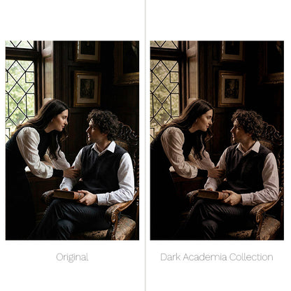 Dark Academia Presets - For Lightroom