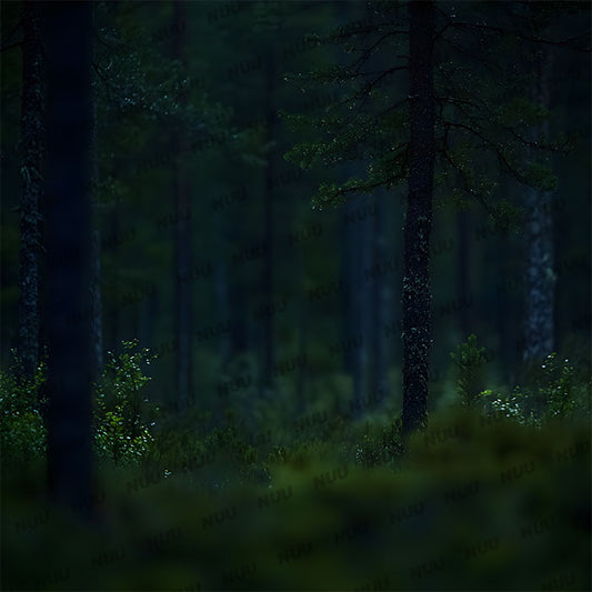 Dark Forest - Digital Backdrop