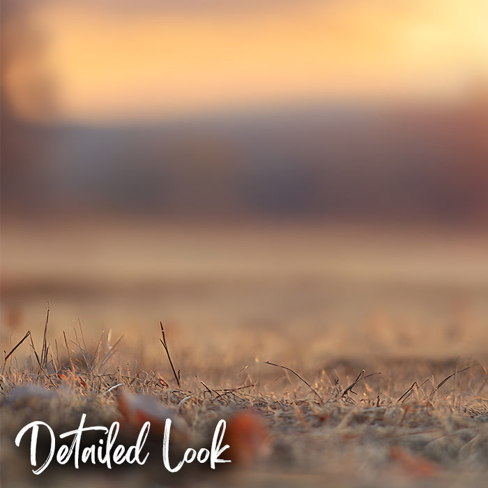 Sunset Autumn Field - Digital Backdrop