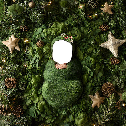 Christmas Face Insert - Newborn Digital Backdrop