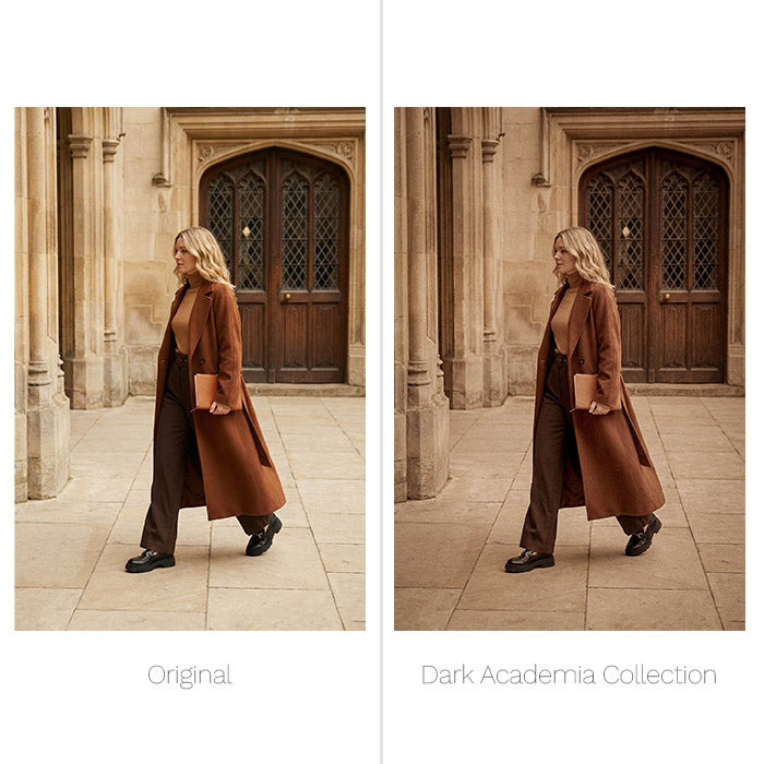 Dark Academia Presets - For Lightroom