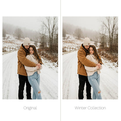 Winter Presets - For Lightroom