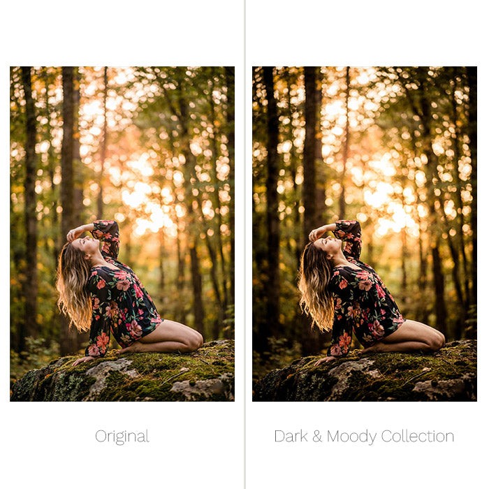 Dark & Moody Presets - For Lightroom