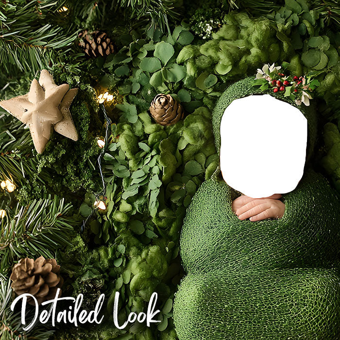 Christmas Face Insert - Newborn Digital Backdrop