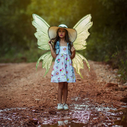 Fairy Wing Overlays - For Photoshop & More