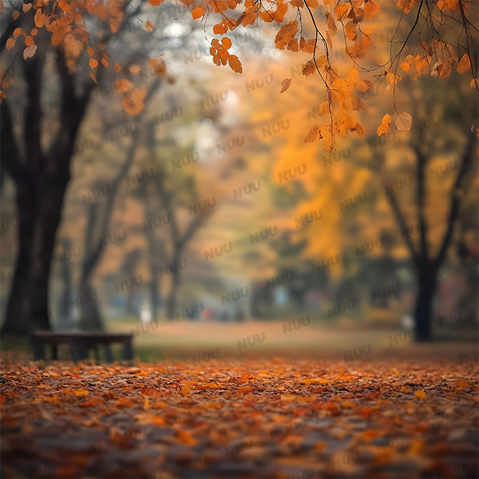 Autumn Park - Digital Backdrop