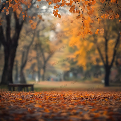 Autumn Park - Digital Backdrop