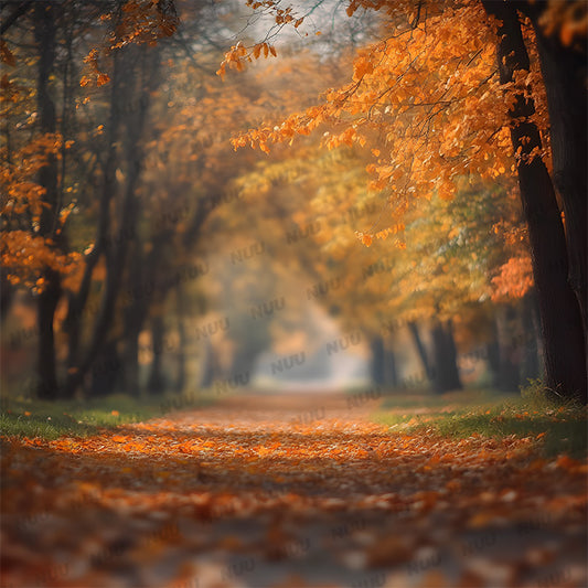 Fall Path - Digital Backdrop
