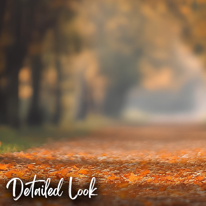 Fall Path - Digital Backdrop